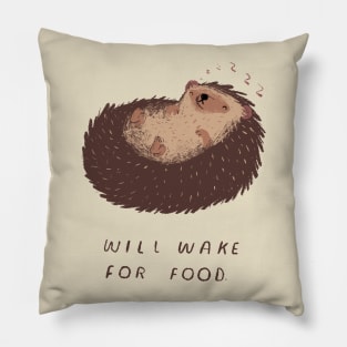 will wake for food. Pillow