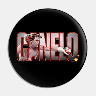 Canelo Alvarez boxing 2 Pin