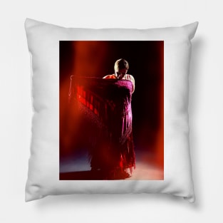 Red Flamenco Night Pillow