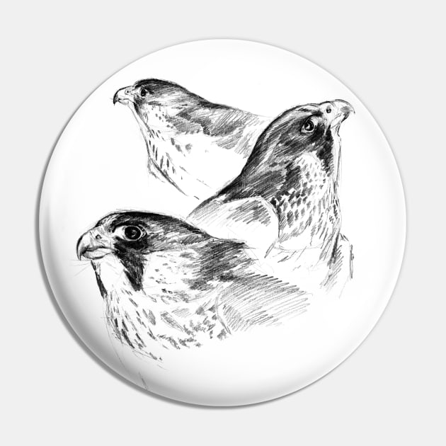 Three Peregrines Art Sketch Pin by RebeccaLatham