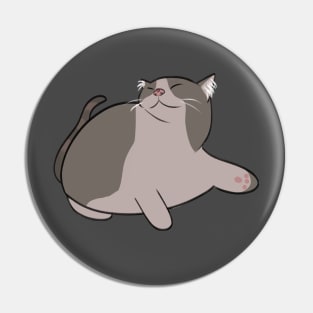 Chonky cat relaxing Pin