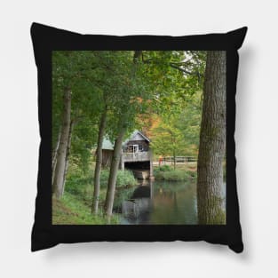 Boat House in autumn foilage at Winkworth Arboretum Pillow