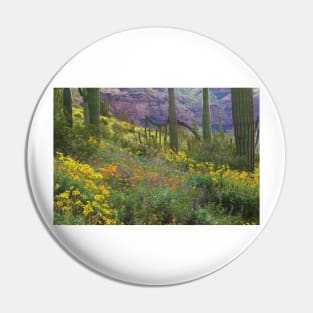 Saguaro Amid Flowering Lupine California Brittlebush Organ Pipe Cactus National Monument Pin