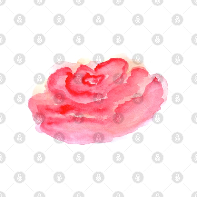 Pink watercolor rose flower, red bloom, art decoration, sketch. Illustration hand drawn modern by grafinya