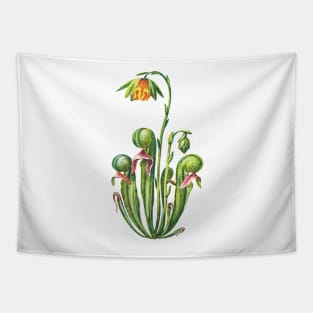 Kopie von Cobra Lily Darlingtonia Californica Apparel Botanical Drawing Pitcher Plant Tapestry