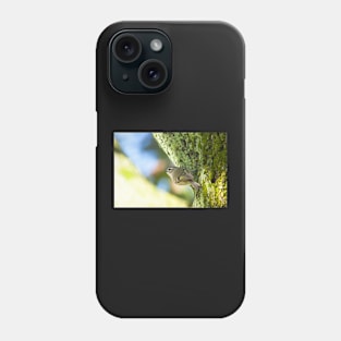 Kinglet Phone Case