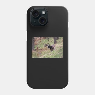 Wild goat Phone Case