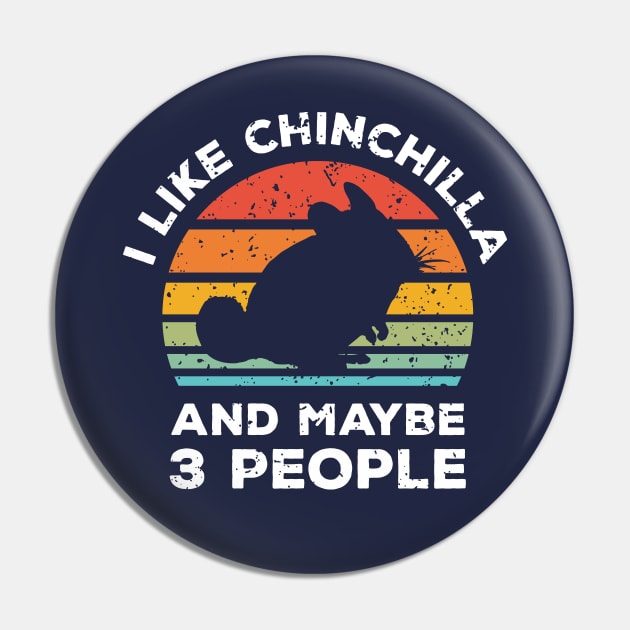 I Like Chinchilla and Maybe 3 People, Retro Vintage Sunset with Style Old Grainy Grunge Texture Pin by Ardhsells