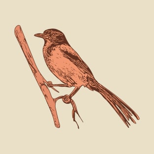 Western Scrub Jay Linocut Style T-Shirt