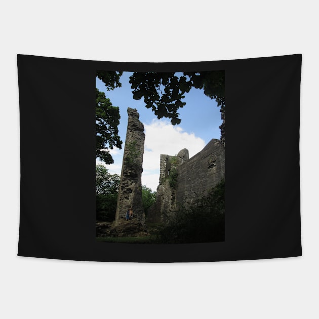 Strathaven Castle, Scotland Tapestry by MagsWilliamson