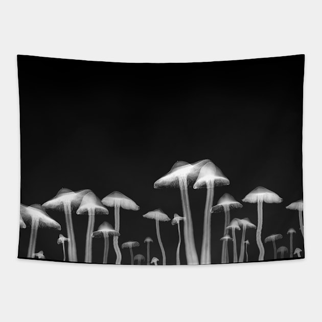 X ray mushrooms Tapestry by onemoremask