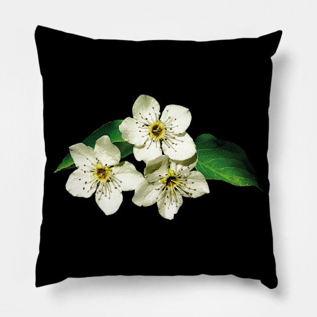 Apple Blossoms - Three Apple Blossoms Pillow by SusanSavad