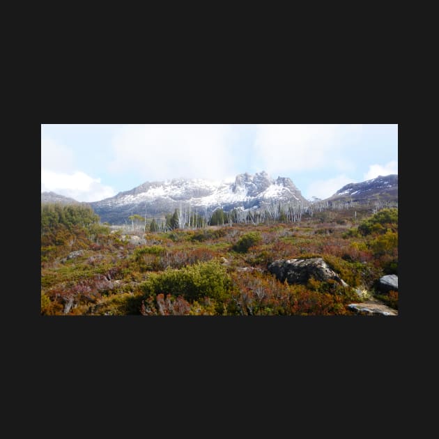 Mount Ossa, The Overland Track by ajdesignsau