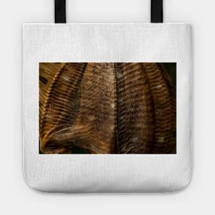 The Bakskuld Tote