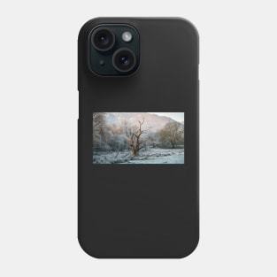 Winter Sun Phone Case