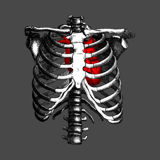 Ribcage Skeleton Red Heart Anatomy - Skeleton Rib Cage - Tapestry | TeePublic