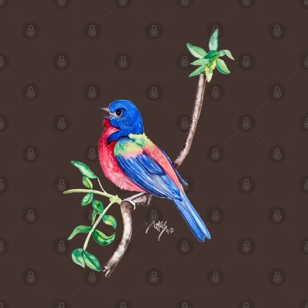 Watercolor Painted Bunting by ptowndanig