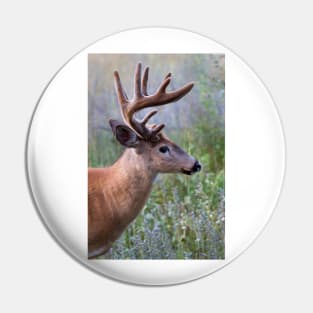 White-tailed deer Buck Pin