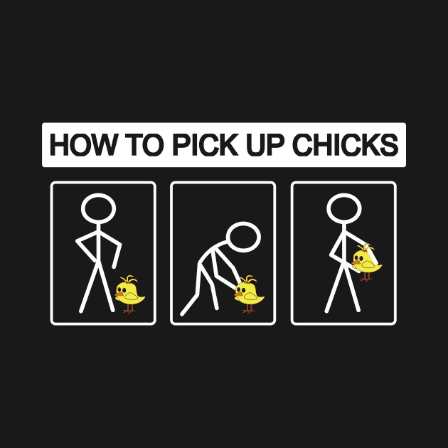 How to pick up Chicks by ThyShirtProject - Affiliate