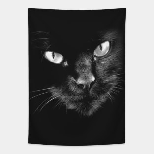 Black Cats Rule - Hello Darkness Tapestry