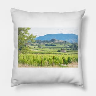 Summertime View of Naramata Bench Vineyards - Okanagan Valley Pillow