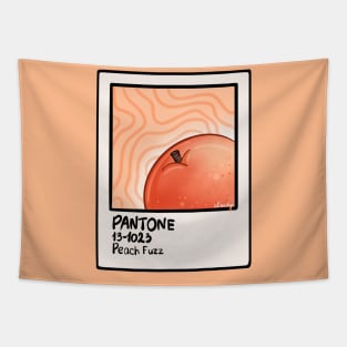 Pantone Peach Fuzz card 2 Tapestry