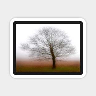 Winter Tree in Mist Multiple Exposure Magnet