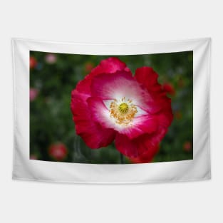 Single poppy Tapestry