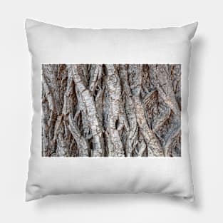 Tree bark background Pillow