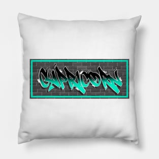 ZODIAC CAPRICORN Pillow