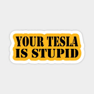 Your Tesla is Stupid... Magnet