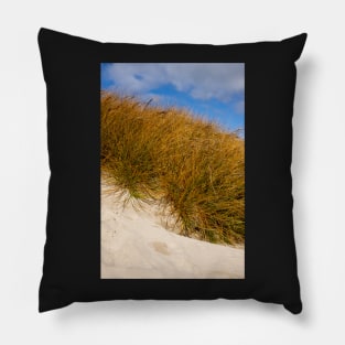 Beach grass. Pillow