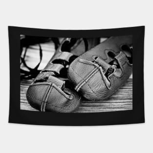 Irish Dance Shoes Tapestry