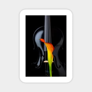 Black Violin With Calla Lily Magnet