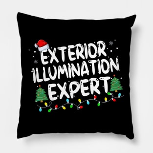 Exterior Illumination Expert Pillow