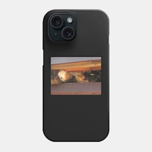 The Great Escape Phone Case