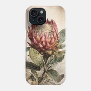 Protea Flower - Botanical Art Phone Case