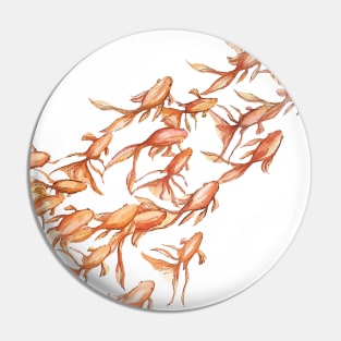 Goldfish from above Pin