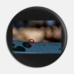 Ladybird Pin