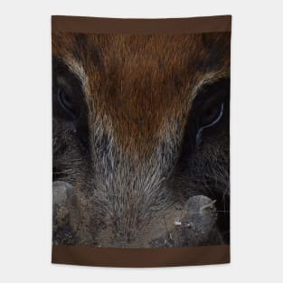 Red River Hog Tapestry