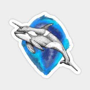 Killer Narwhale Magnet