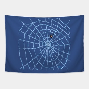 Spider Web-wet Tapestry