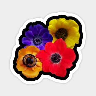 bloom, blooming, blossoms, flowery, flowers, floral Magnet