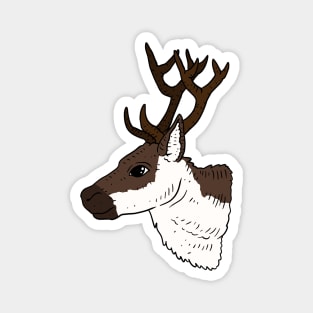 reindeers, cute reindeer illustration. Magnet