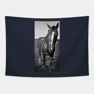 Horse Tapestry