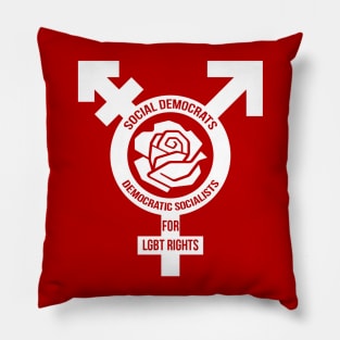 Social Democrats & Democratic Socialists for LGBT rights Pillow