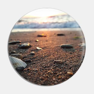 Beach shells on Sand Pin