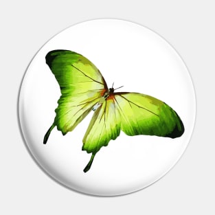 Green Butterfly Digital Painting Pin