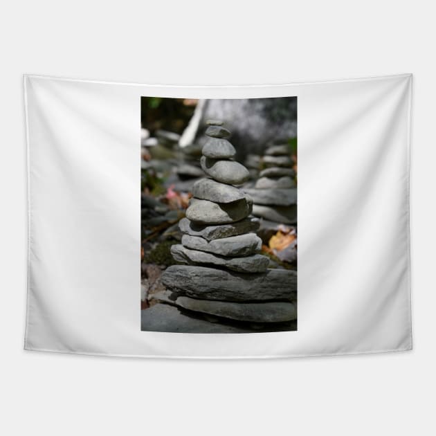 Rock Totem - Watkins Glen, New York Tapestry by searchlight