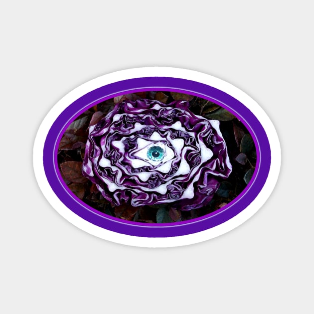 Spiral Magnet by sapanaentertainment